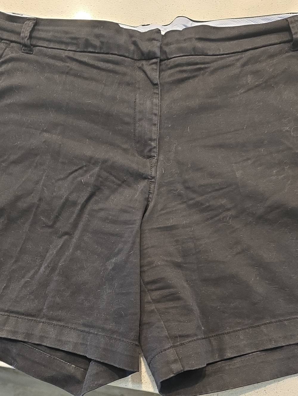 Black Women's Casual Shorts - Crown And Ivy